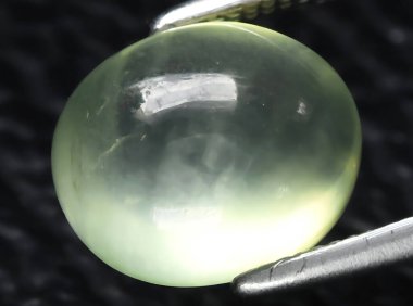 Arka planda doğal yeşil kavrayıcı mücevher