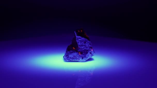 Natürlicher Yoopelit Edelstein Ultravioletten Licht Auf Dem Hintergrund — Stockvideo