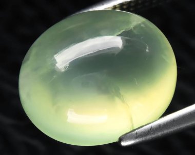 Arka planda doğal yeşil kavrayıcı mücevher