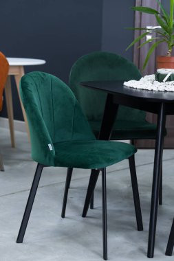 Siyah ahşap masa ve yumuşak kumaş döşemeli yeşil ahşap sandalyeler. Masanın üzerinde kahverengi bir saksıda yeşil bir bitki var.