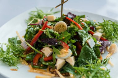 Lahana, salatalık, yumurta, soğan, ton balığı ve zeytinyağlı salata.