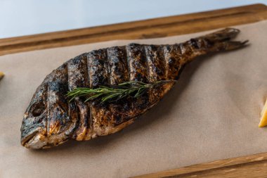 Ahşap bir tahtanın üstünde ızgarada limon ve biberiyeyle pişirilmiş Dorado balığı