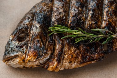 Ahşap bir tahtanın üstünde ızgarada limon ve biberiyeyle pişirilmiş Dorado balığı