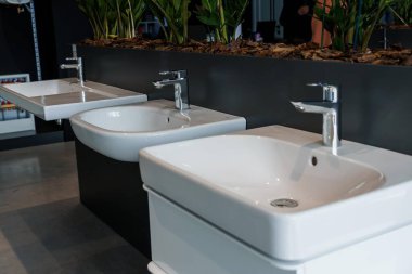 Modern Banyo Lavabosu Şık İç Tasarım için Zarif Bitkiler Ekranı.