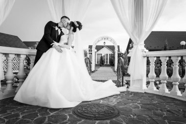 Büyüleyici Siyah-Beyaz Düğün Öpücüğü Zarif Dolmuş Kemer Yolu Altında Yakalandı.