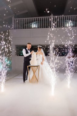 Büyüleyici Düğün Kutlaması Köpüklü Pasta Kesme Töreniyle.