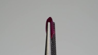 Işıl ışıl Ruby Gemstone Hassas Cımbızlar Tarafından Nazikçe Tutuluyor Yumuşak Gri Arkaplan Karşısında