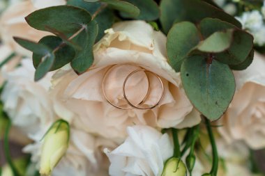 Yumuşak Gül Yaprakları Üzerine Zarif Alyanslar Çevrelenmiş Taze Yeşillik.