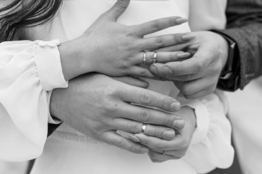 Intimate Embrace: A Romantic Close-Up of Intertwined Hands Showcasing Wedding Bands in a Soft Monochrome Setting. clipart