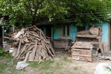Terk Edilmiş Arka Bahçe Ahşap Döküntü Yığını ve Aşırı Yeşillenmiş Yapraklar.