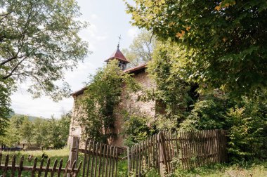 Unutulmuş Bir Kilisenin Esrarengiz Harabeleri Doğanın Yeşillikleri tarafından Kucaklanıyor.