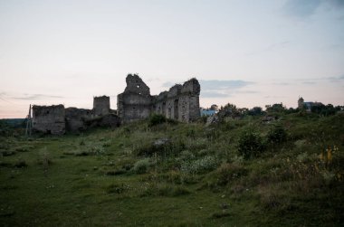 Terk Edilmiş Taş Harabeleri Doğayla Kaplanmış Karanlık 'ta.