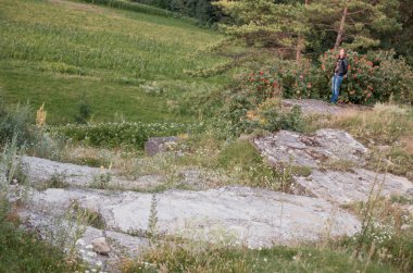 Sahne Kayası oluşumu ve Yaban Çiçeklerinin Ortasında Bir Kişi Oluşan Huzurlu bir Peyzaj.