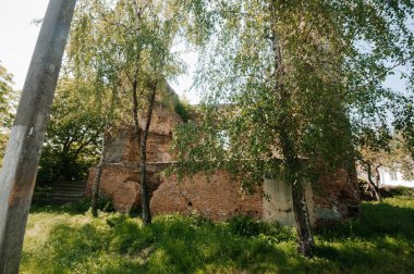 Abandoned Brick Ruins Enveloped by Lush Greenery Under the Sunlight. clipart