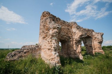 Terk Edilmiş Taş Harabeleri Berrak Mavi Gök Altında Yeşillik Altında.