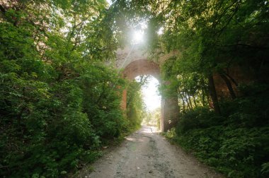 Güneşli bir gölgeliğin altında Büyülenmiş Büyülü Kemer Yolu.