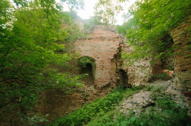 Enigmatik kalıntılar Doğanın bereketli yeşilliği tarafından kucaklanıyor..