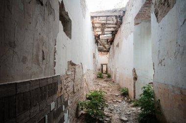 Terk Edilmiş Zarafet: Doğanın Islah Edilmesinin unutulmaz güzellikte bir harabesi.