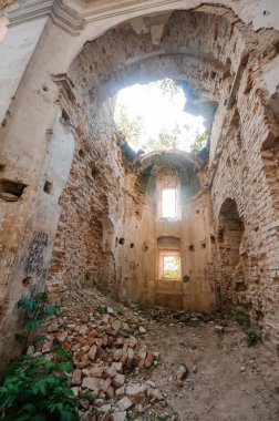 Doğanın Dayanıklılığının Terk Edilmiş Sığınağı Yıkılan Duvarların Arasında.