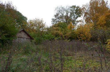 Terk Edilmiş Kulübesiyle Huzurlu Sonbahar Manzarası Çevrelenmiş Canlı Yapraklar.