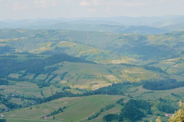 Serene Hills of Green: Rolling Meadows ve Uzak Dağların Huzurlu Manzarası.