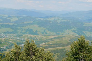 Berrak Mavi Gökyüzü Altında Yuvarlanan Tepeler ve Berrak Yeşillik 'in Huzurlu Manzarası.