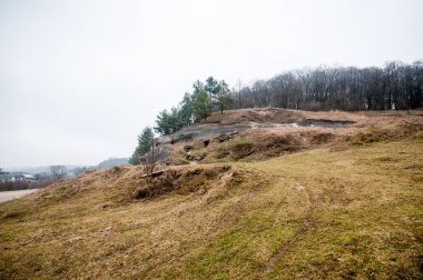 Rolling Hills 'in sakin manzarası ve Bulutlu Gökyüzü Altındaki Yeşil Bitki.