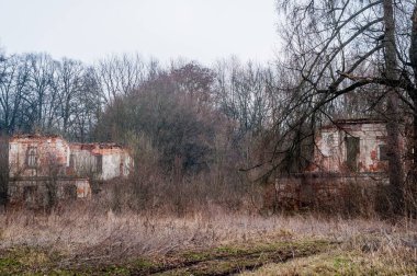 Doğanın Terkedilmiş Yapıları Saran Huzurlu Kalıntıları.