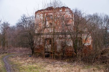 Abandoned Charm: The Eerie Beauty of a Crumbling 19th Century Mansion Enveloped by Nature. clipart