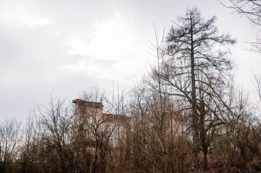 Enigmatik Harabeler Doğanın Kasvetli Toprağının Ortasında.