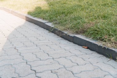 Serene Yolu Yumuşak Sabah Işığında Yeşil Çimen Kenarları boyunca.