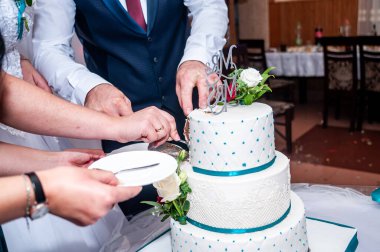 Şık Düğün Pastası Kesme Töreni Sevgi ve Birlik Kutlaması.