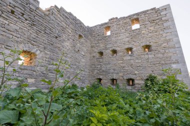 Etrafı bereketli bitki örtüsüyle çevrili tarihi bir taş yapısının kalıntıları.