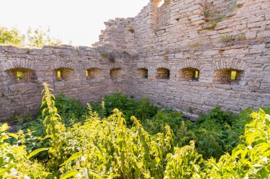 Tarihten Kalıntılar: Yeşilliklerle çevrili Eski Taş Yapının Fazla Büyümüş Harabeleri.
