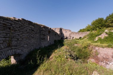 Berrak Mavi Gök Altında Lükslü Bitkilerle çevrili Antik Taş Kalıntıları.