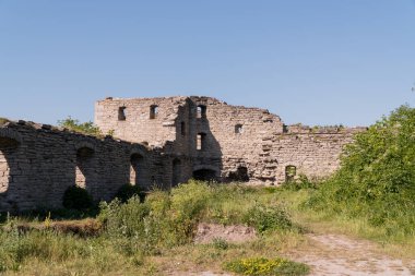 Antik Taş Harabeleri Açık Mavi Gök Altında Bitkilerle Kaplandı.