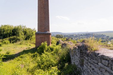 Terk Edilmiş Endüstriyel Baca Çevrelenmiş Lush Overgrowth Manzarada.