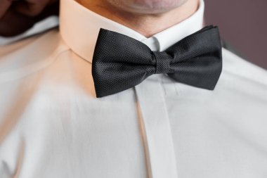 Resmi Olaydan Önce Siyah Yay Kravatını Ayarlayan Zarif Damat.