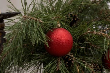 Çam ağacının dalında asılı duran Kırmızı Şölen Süslemesi.