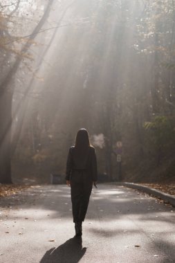 Sisli Orman Yolu 'ndaki Huzurlu Yalnızlık.