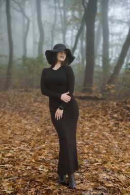 Sisli Ormanda Gizemli Zarafet.