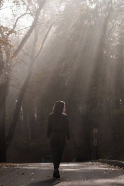 Sisli bir ormanda ruhani sonbahar yürüyüşü.