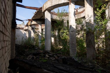 Terk Edilmiş Endüstriyel Arazi Doğa Tarafından Parçalanmış Beton ve Aşırı Büyümüş Bitkilerle İstila Edildi.