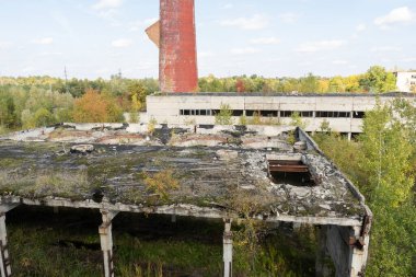 Terk Edilmiş Endüstri Harabeleri Doğayla çevrili.
