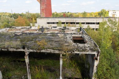Terk Edilmiş Endüstriyel Kompleks Kıyamet Sonrası Manzarası Doğa Tarafından İstila Ediliyor.