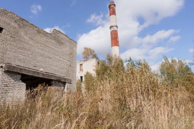 Terk Edilmiş Endüstriyel Arazi. Etrafı aşırı gelişmiş bitki örtüsüyle çevrili..