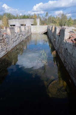 Yansımaları ve bitkileri olan terk edilmiş endüstriyel su yolu..