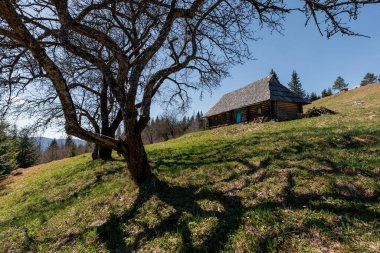 Huzurlu Kırsal Kulübe Yemyeşil Tepelerin Arasında.