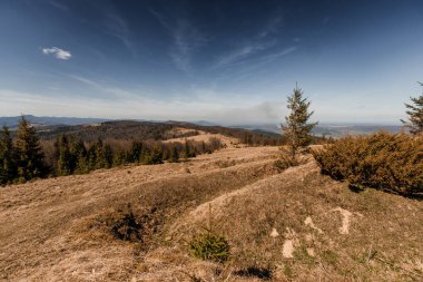 Huzurlu Dağ Manzarası Nadir Bitkiler ve Açık Mavi Gökyüzü.