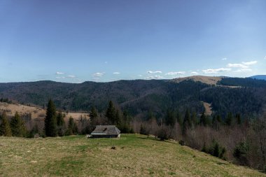 Etrafı bereketli ormanlarla çevrili taşralı bir dağ manzarası.